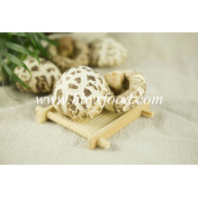 Dehydrated Flower Shiitake Mushroom Dried Vegetable